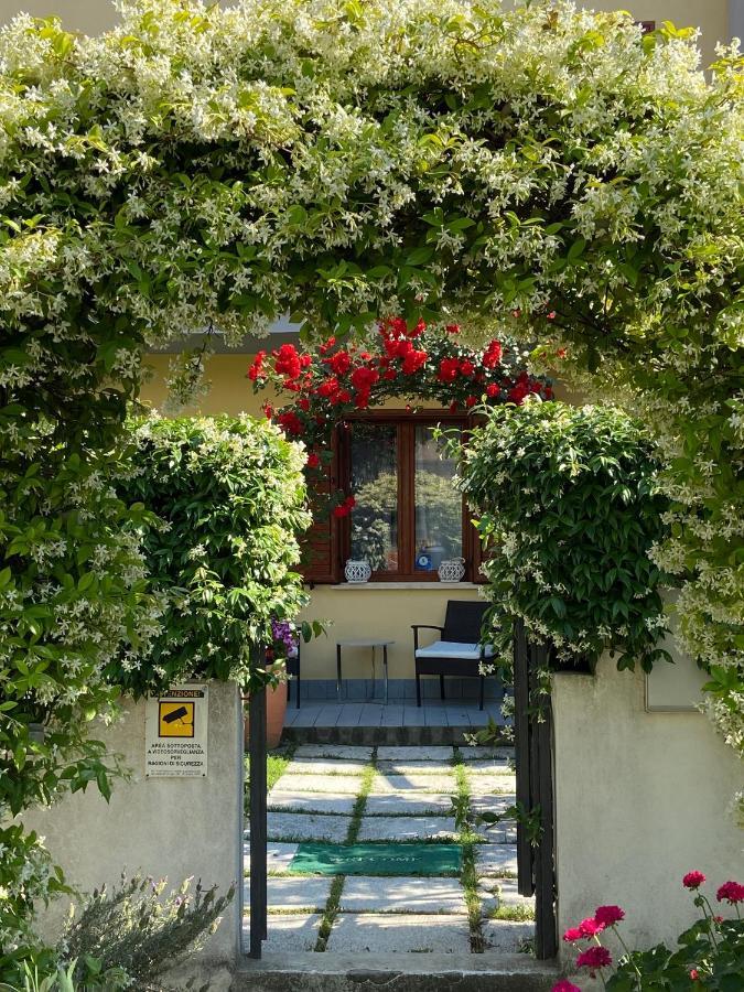 Villa Dei Cedri Scalea Exterior foto