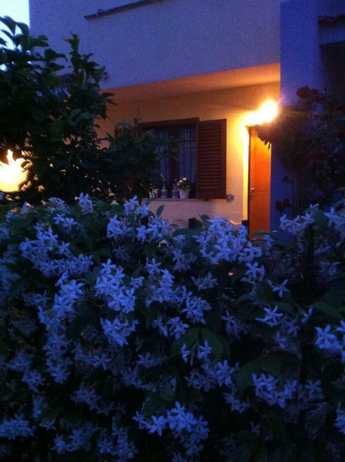 Villa Dei Cedri Scalea Exterior foto